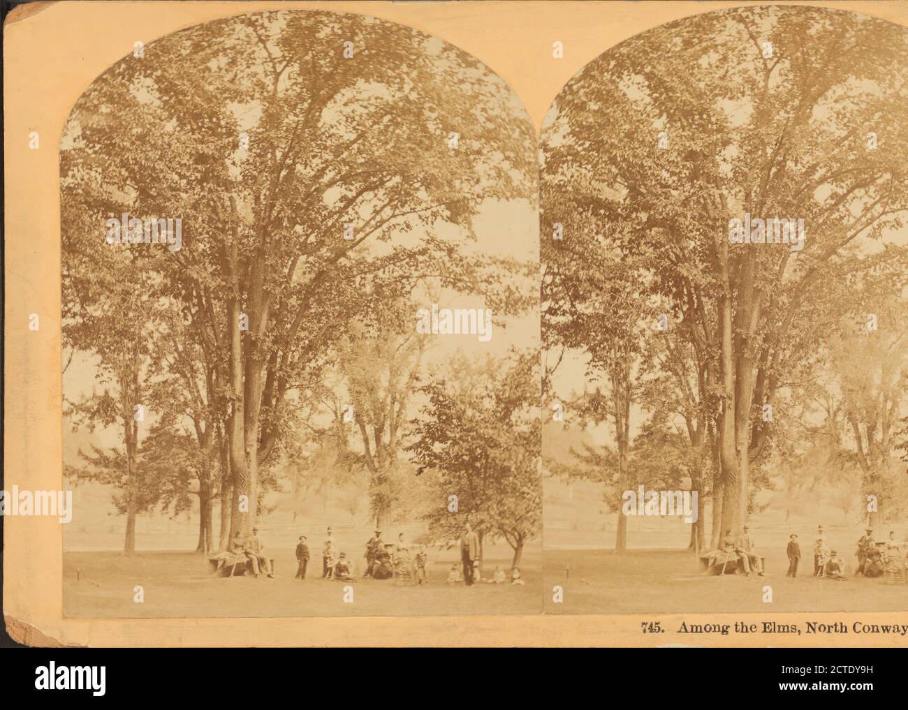 Among the Elms, North Conway, N.H., Kilburn, B. W. (Benjamin West) (1827-1909), Elms, New Hampshire, North Conway (N.H Stock Photo