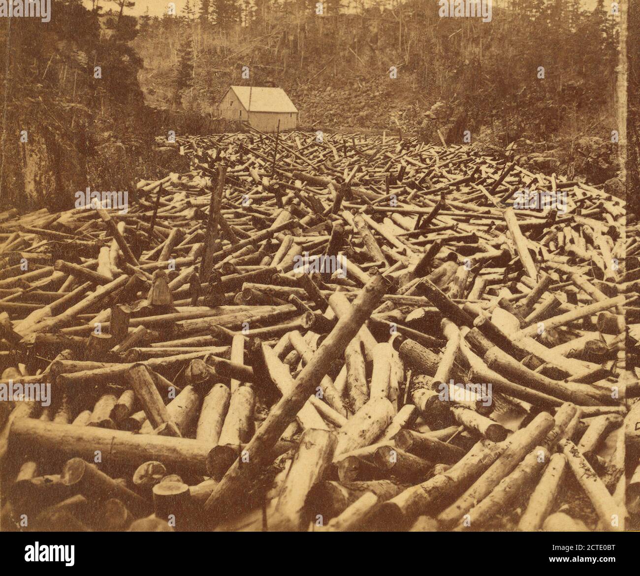 The Pineries High Resolution Stock Photography and Images Alamy