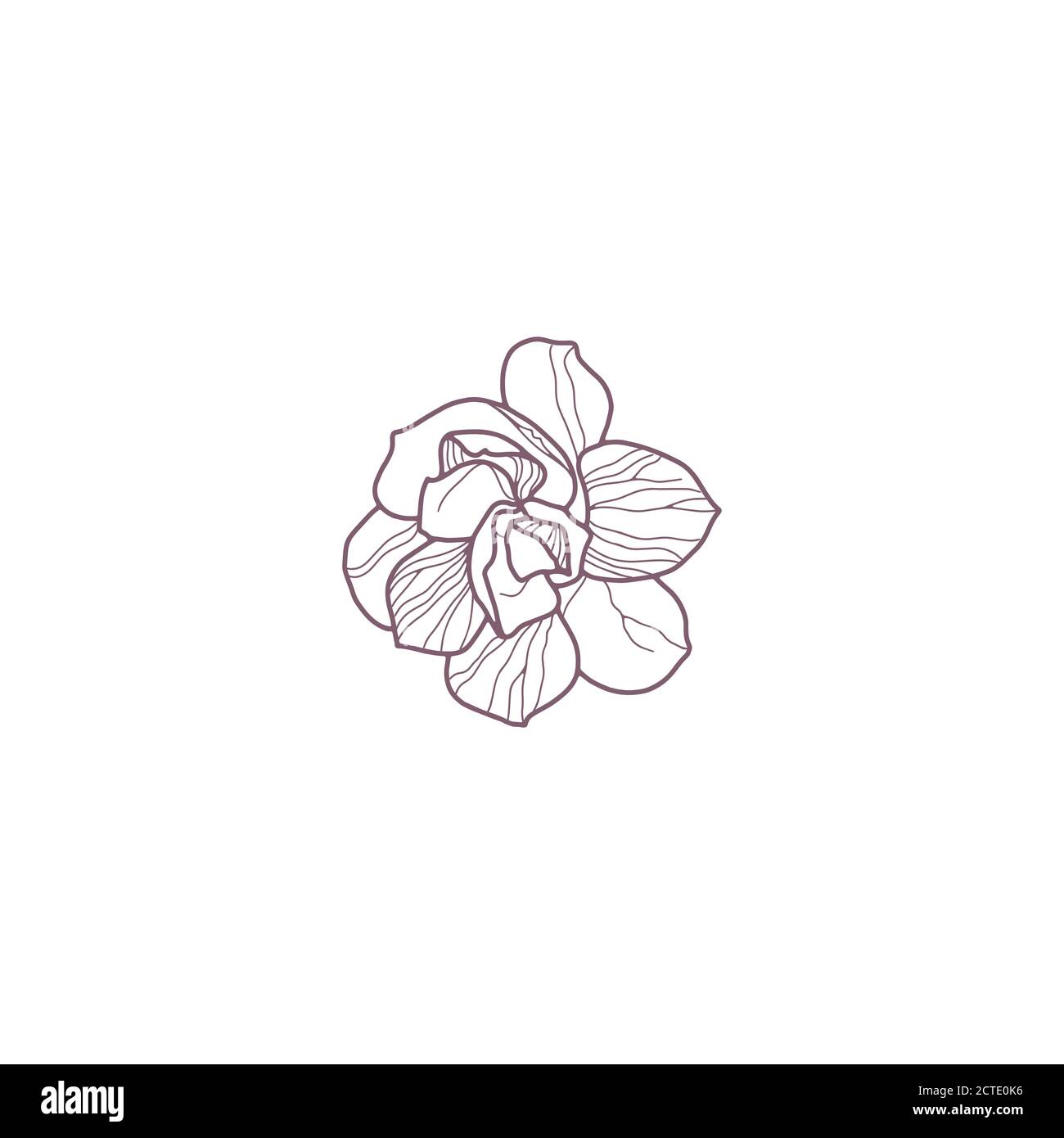 Hand drawn magnolia flowers for greeting or wedding card Stock Vector ...