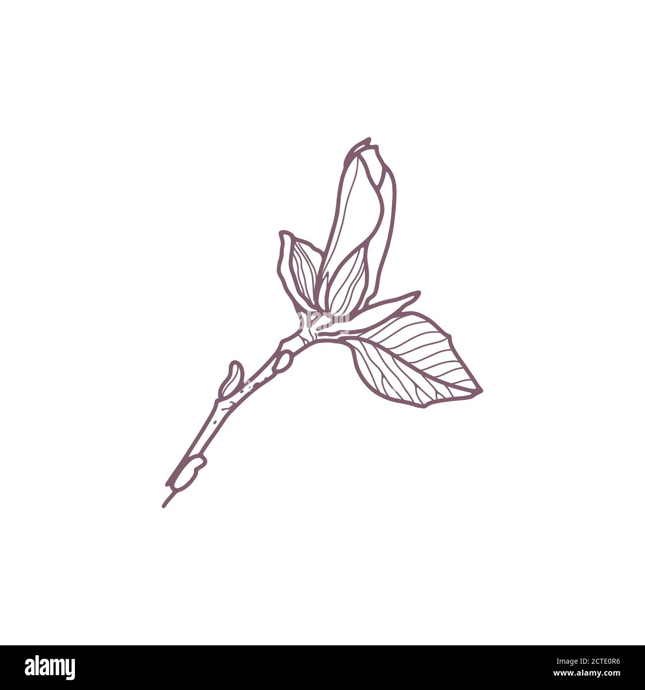 Hand drawn magnolia flowers for greeting or wedding card Stock Vector ...