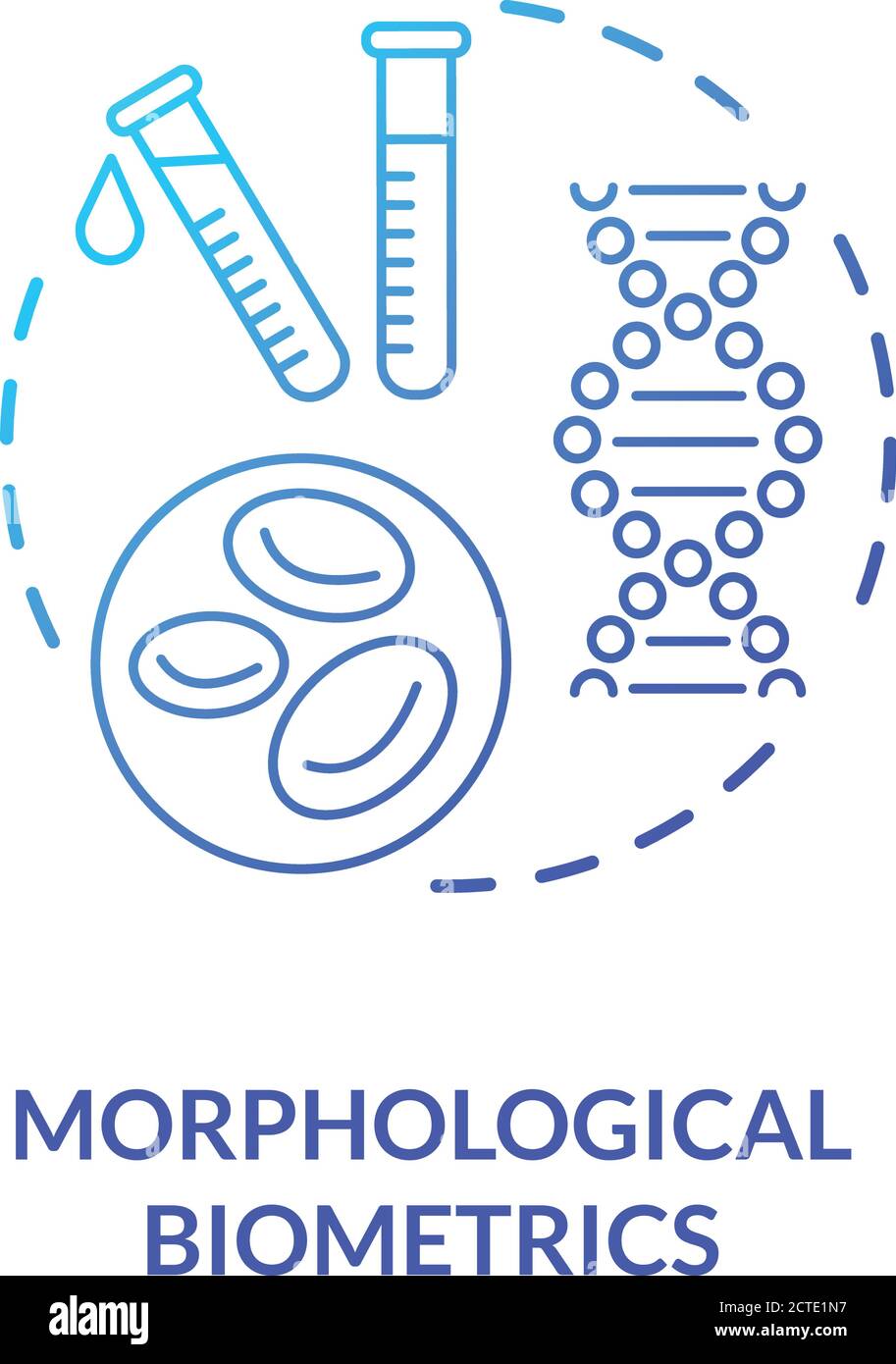 Morphological biometrics concept icon Stock Vector Image & Art - Alamy