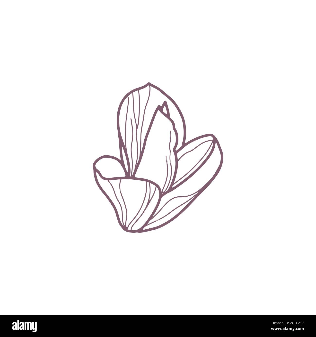 Hand drawn magnolia flowers for greeting or wedding card Stock Vector ...