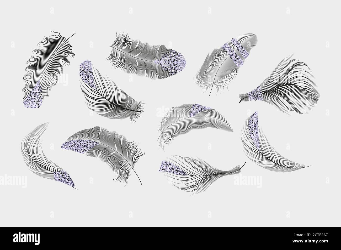 Vector gold,pink ,silver feathers collection set on a white background ...