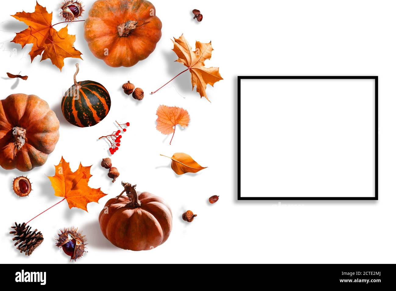 Autumn background. autumn leaves and frame for text Stock Photo - Alamy