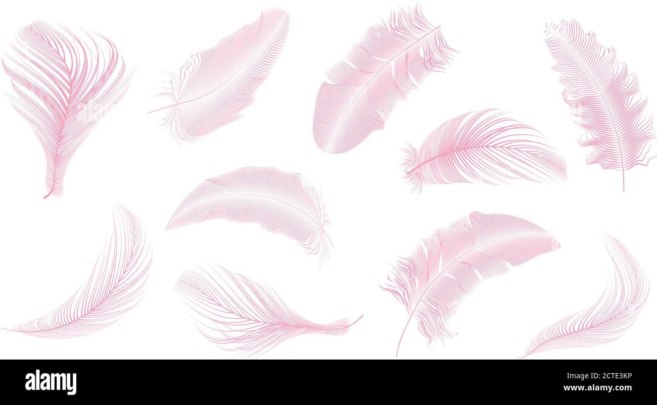 Vector gold,pink ,silver feathers collection set on a white background ...