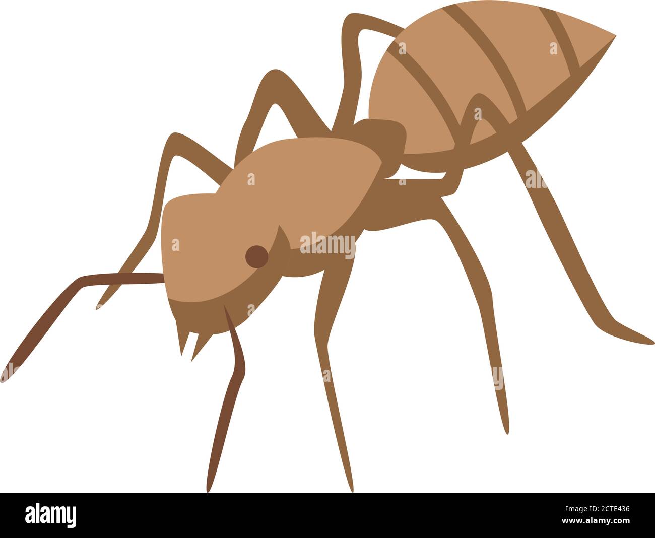 Tropical ant icon, isometric style Stock Vector