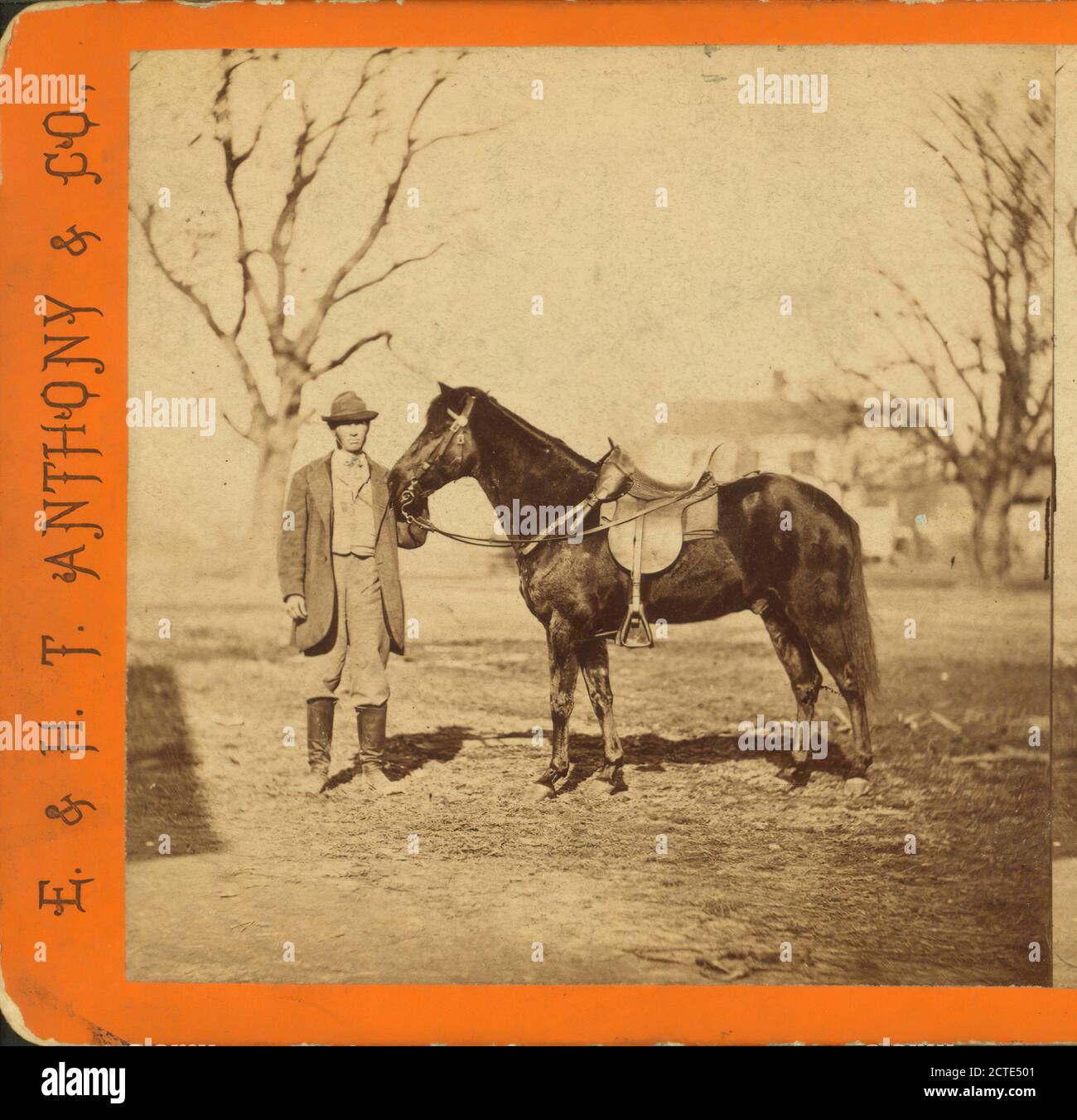 Jeff. Davis, one of Gen. Grant's saddle horses. Taken at City Point, Va., E. & H.T. Anthony