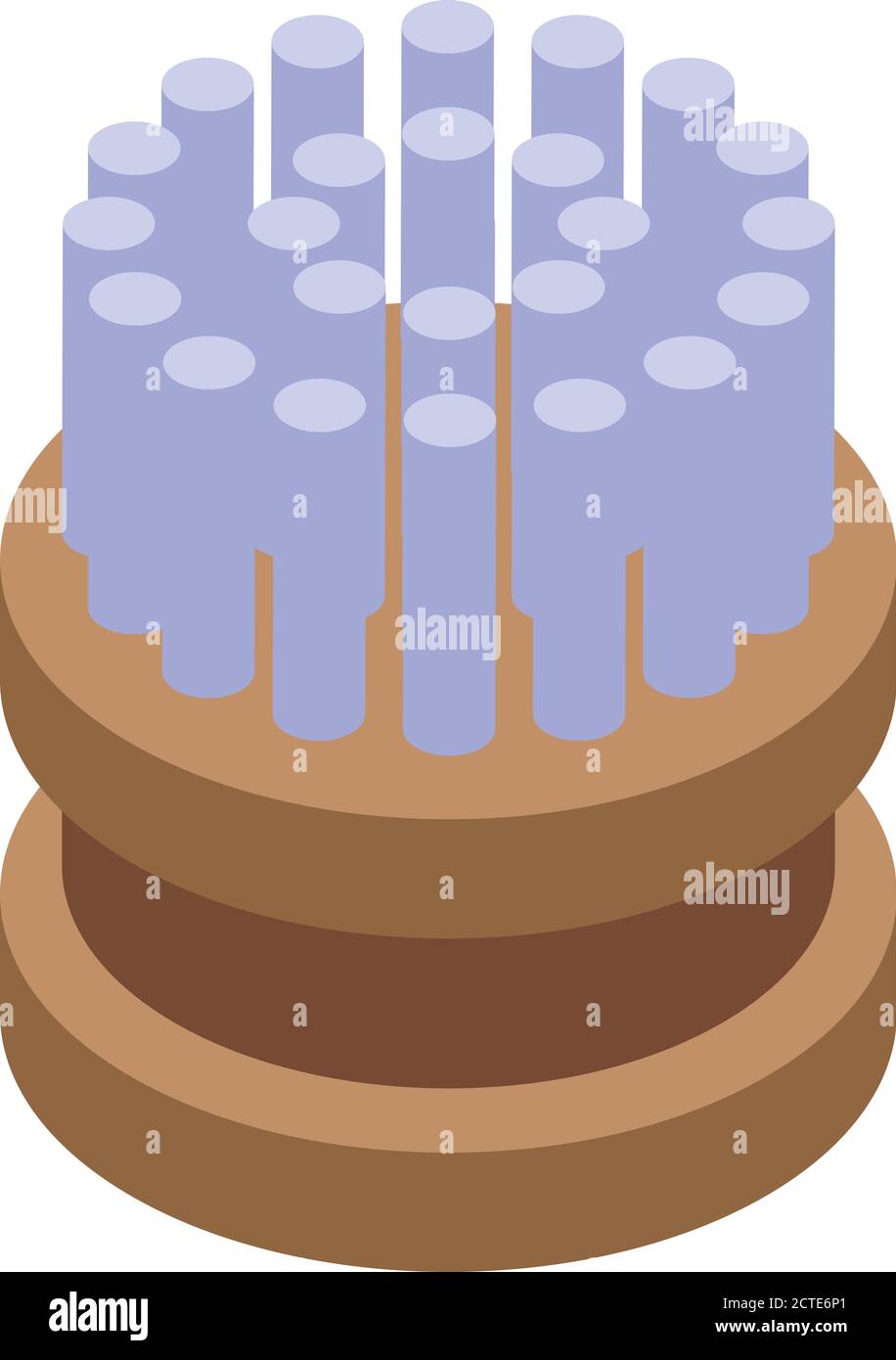 Washcloth brush icon, isometric style Stock Vector