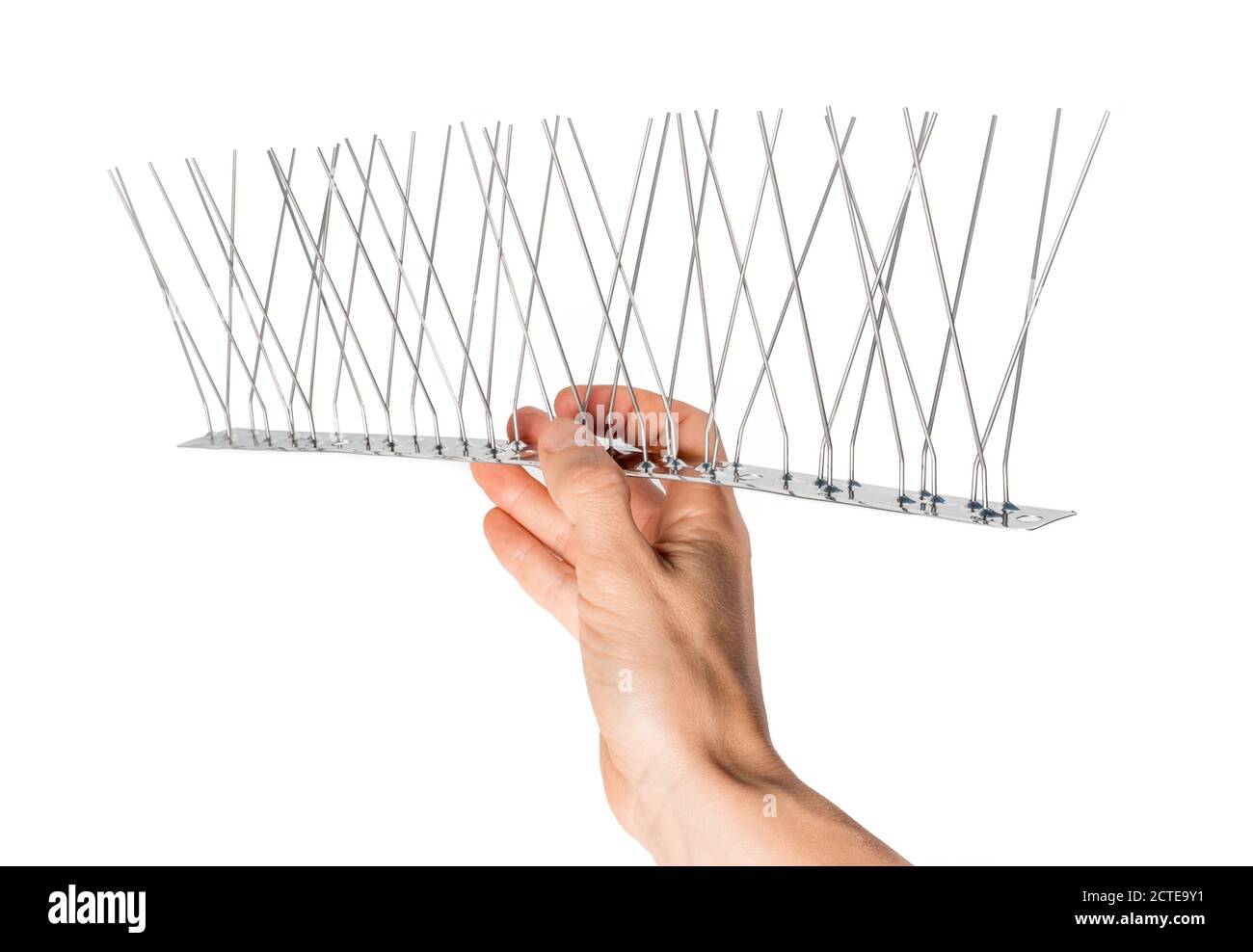Hand holding single strip of bird spikes. The stainless bird spikes or pins prevent pigeons, sparrows, seagulls, swallows etc. from landing, roosting Stock Photo