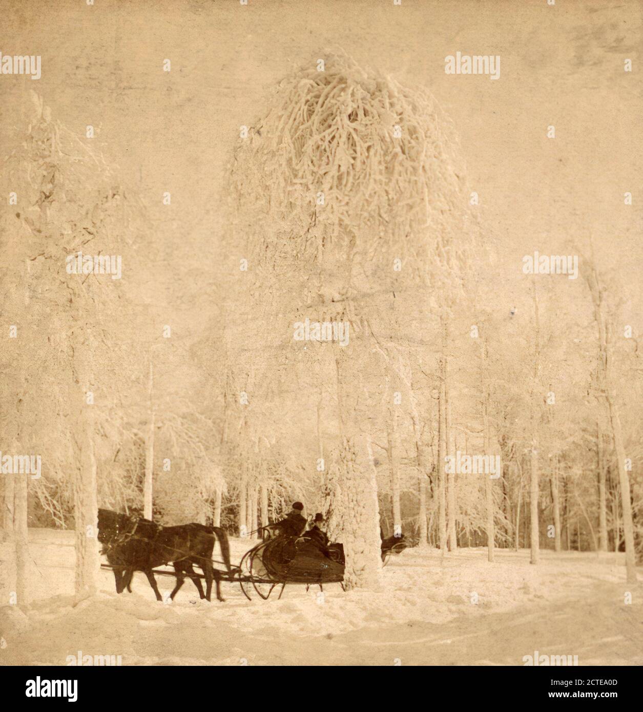 A drive in wonderland, Niagara, U.S.A. View of horse cart ride in winter scene., Kilburn, B. W. (Benjamin West) (1827-1909), Kilburn Brothers, New York (State), Niagara Falls (N.Y. and Ont.), Niagara Falls Stock Photo