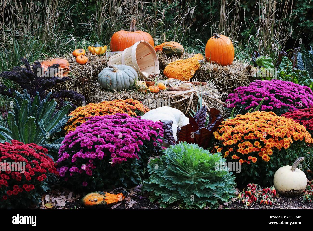 Colors of autumn background. Bright colors fall season outdoor decoration with potted chrysanthemums and unusual pumpkins on the hay bricks as a part Stock Photo