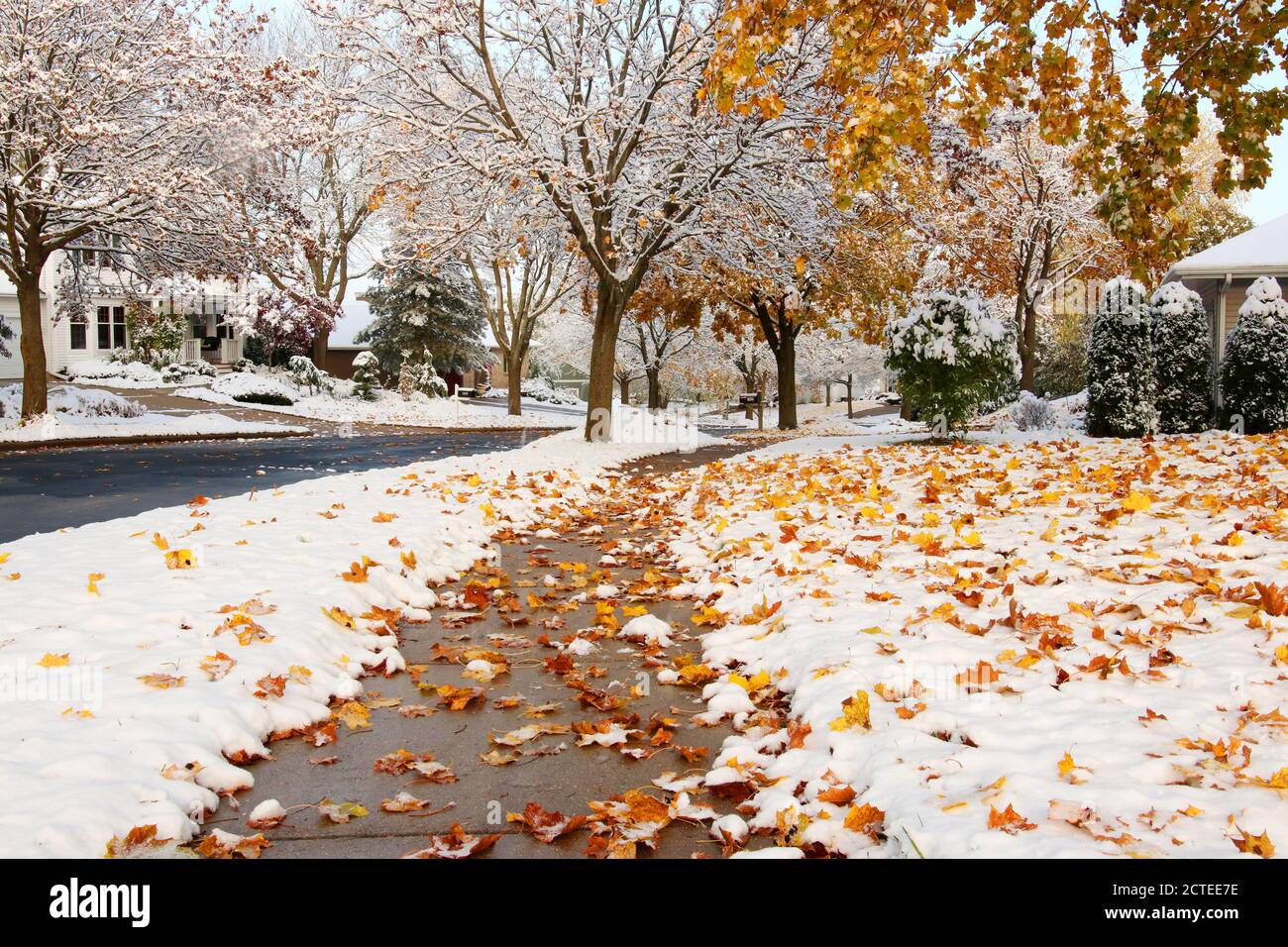 Early snow background, climate changing concept. Scenic morning landscape with autumn bright color trees and street covered by fresh first snow. Stock Photo