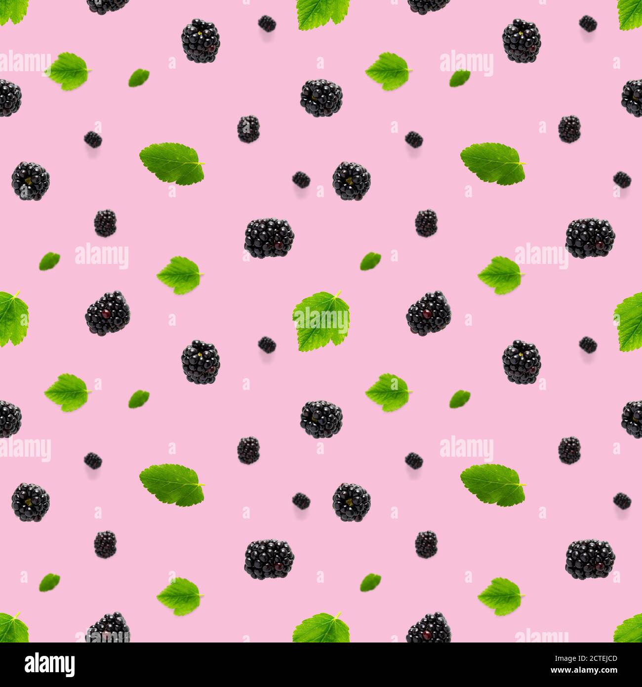 Falling Bramble Seamless pattern. Fresh Falling blackberry seamless pattern. Pattern with fresh wild berries isolated on pink background. Stock Photo