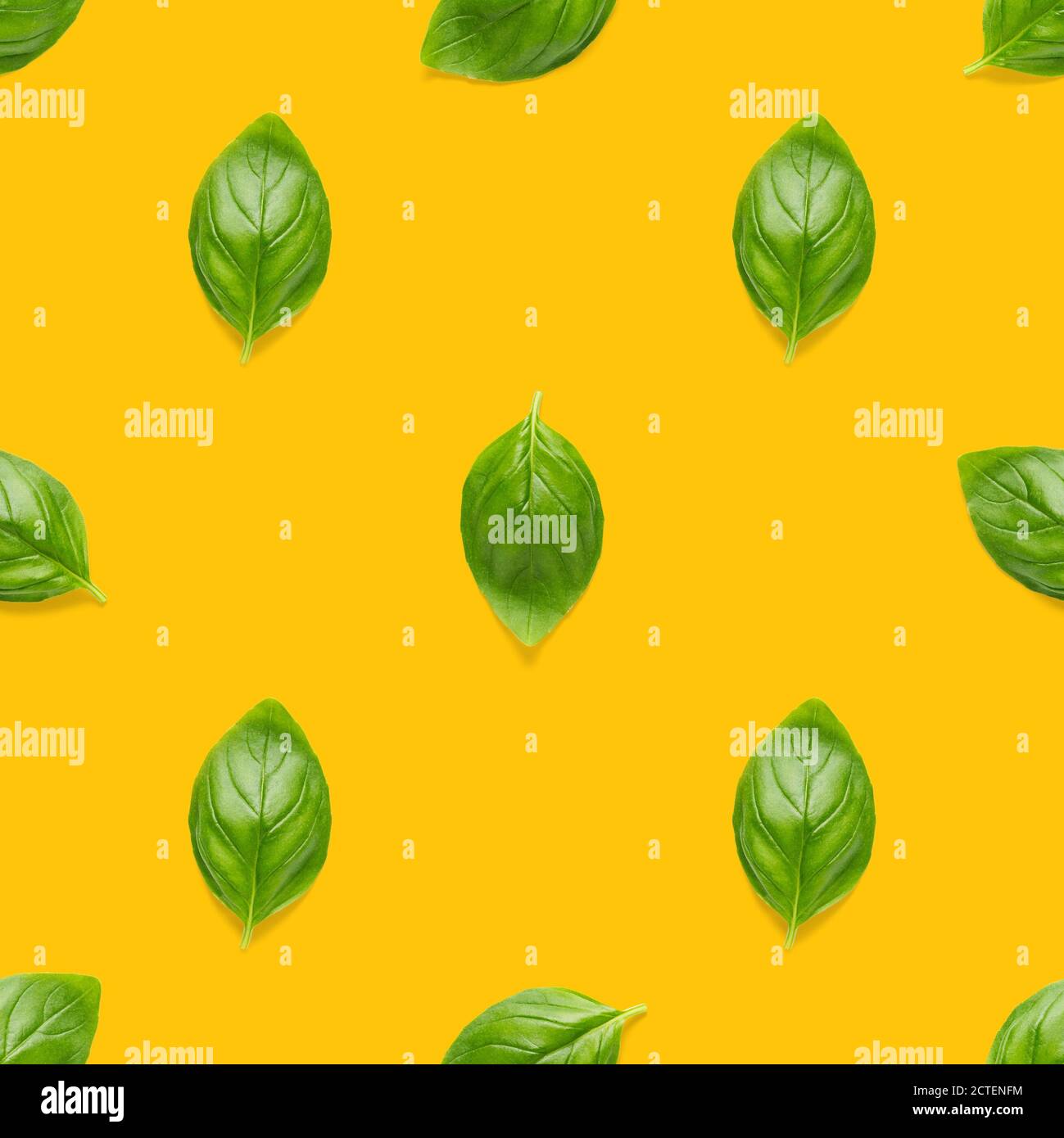 Italian Basil leaf herb seamless pattern on orange background, Creative ...