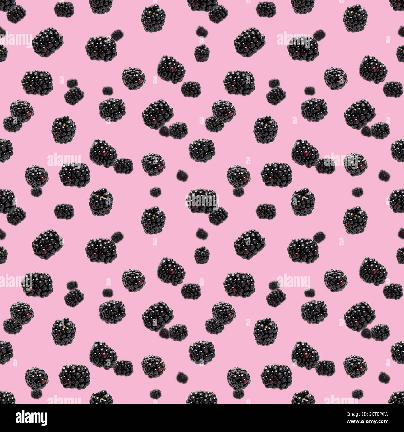 Falling Bramble Seamless pattern. Fresh Falling blackberry seamless pattern. Pattern with fresh wild berries isolated on pink background. Stock Photo