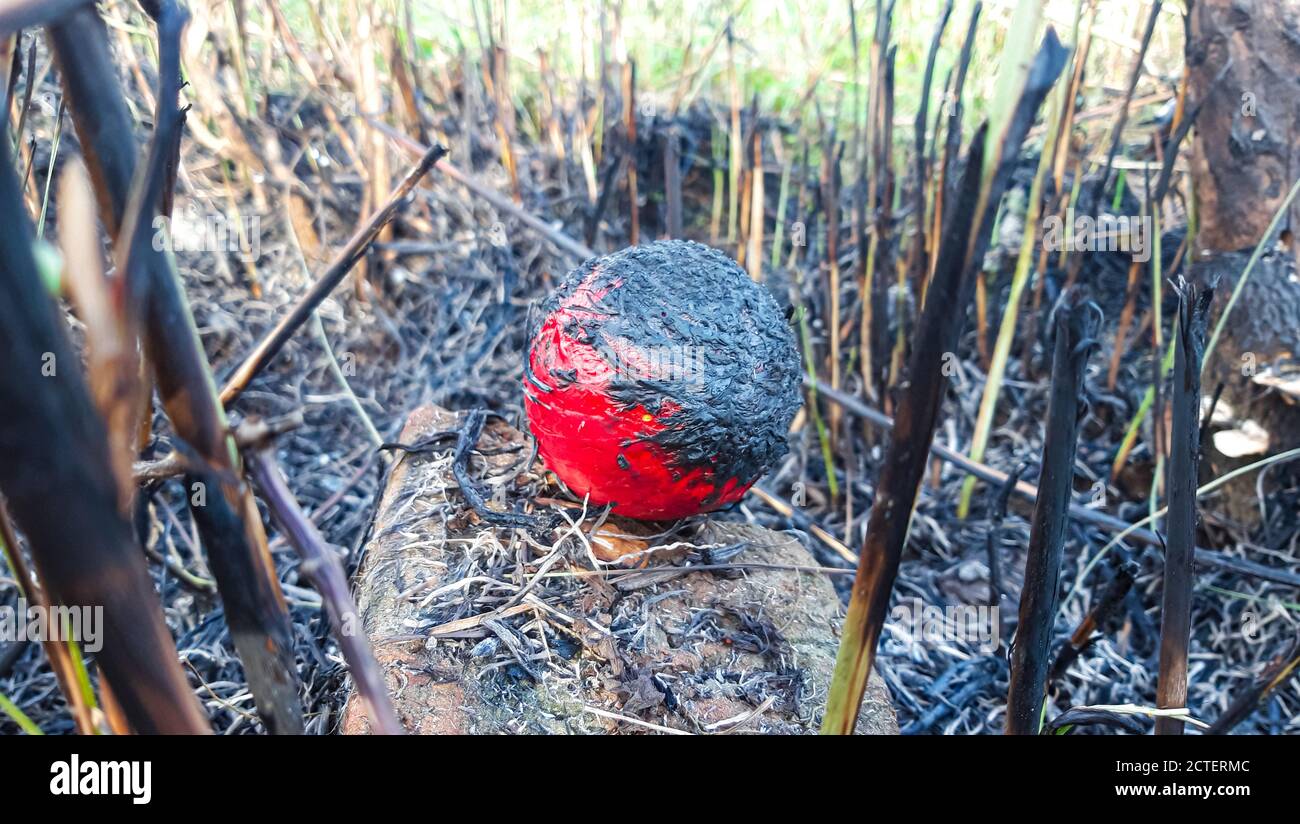 Tennis balls burn hires stock photography and images Alamy