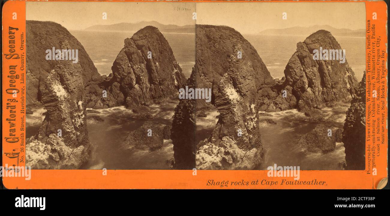 Shagg rocks at Cape Foulweather., Crawford, J. G. (James Gilmore) (1850-1929), Oregon Stock Photo