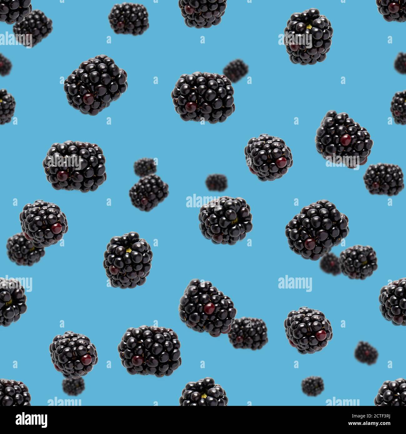 Falling Bramble Seamless pattern. Fresh Falling blackberry seamless pattern. Pattern with fresh wild berries isolated on blue background. Stock Photo