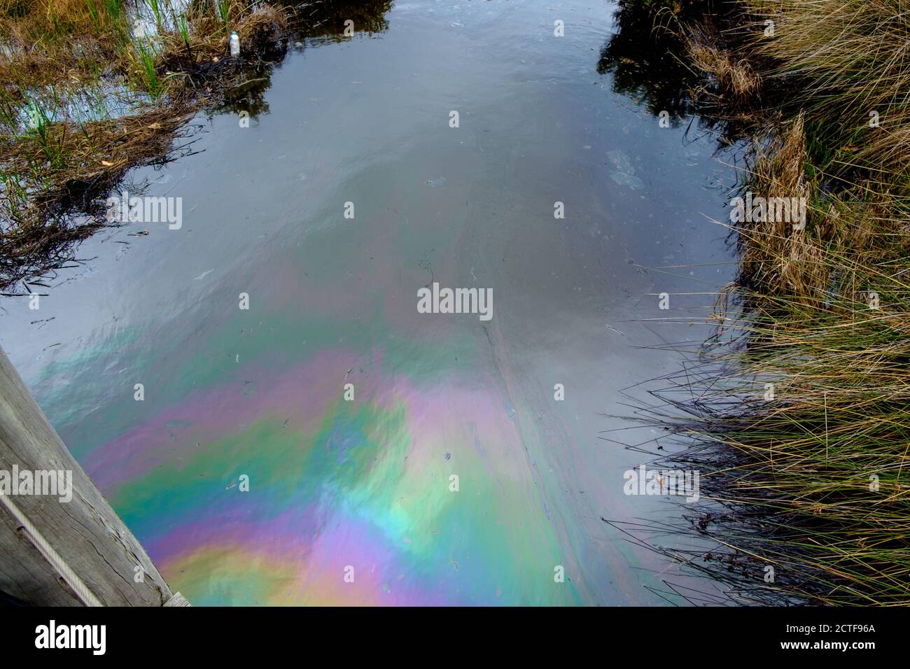 Pollution at Paisley-Challis Wetland, Williamstown North, Melbourne, Victoria, Australia Stock Photo