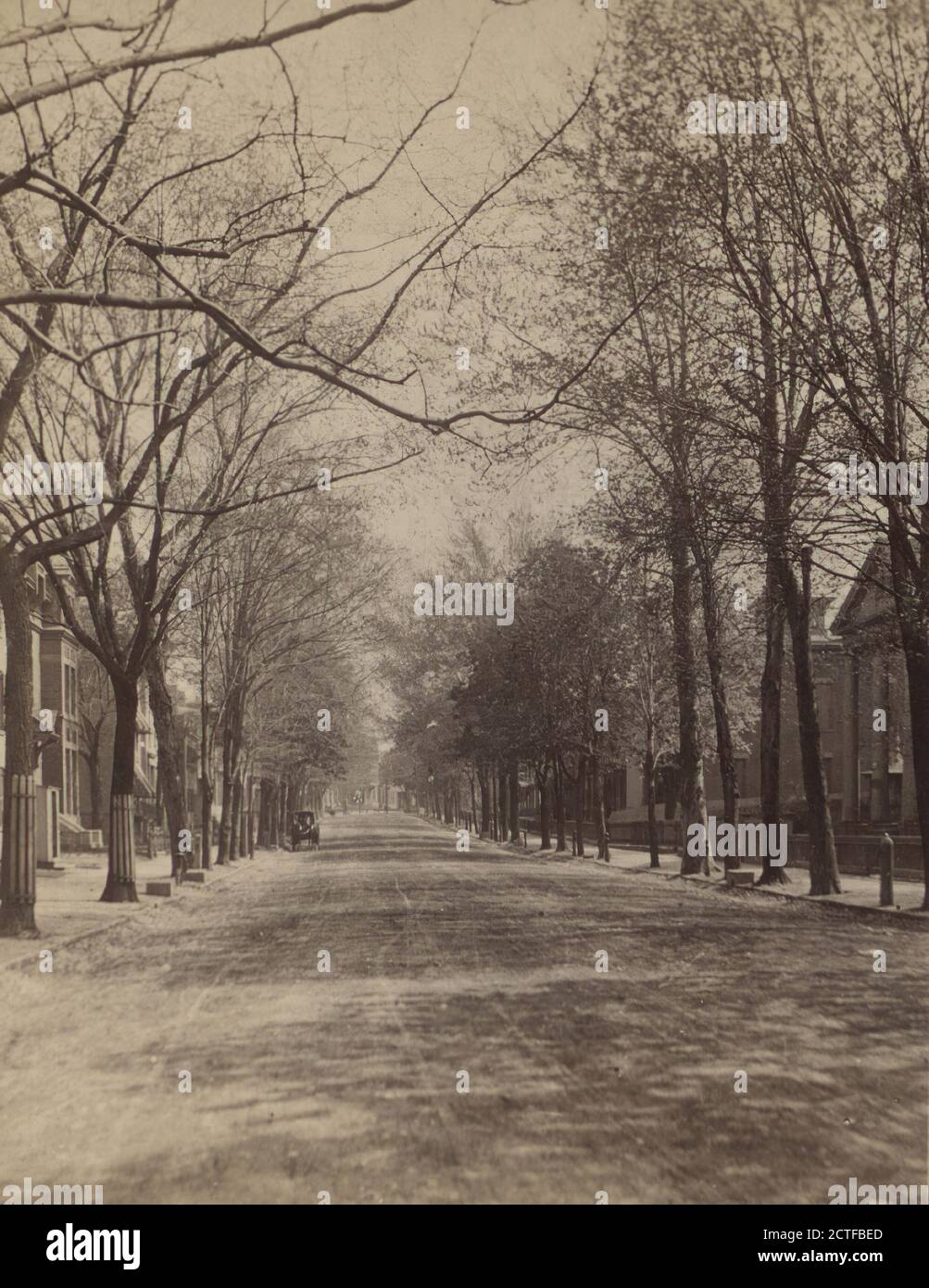 South Fitzhugh Street, Rochester, N.Y., Webster & Albee, 1892, New York (State), Rochester (N.Y Stock Photo