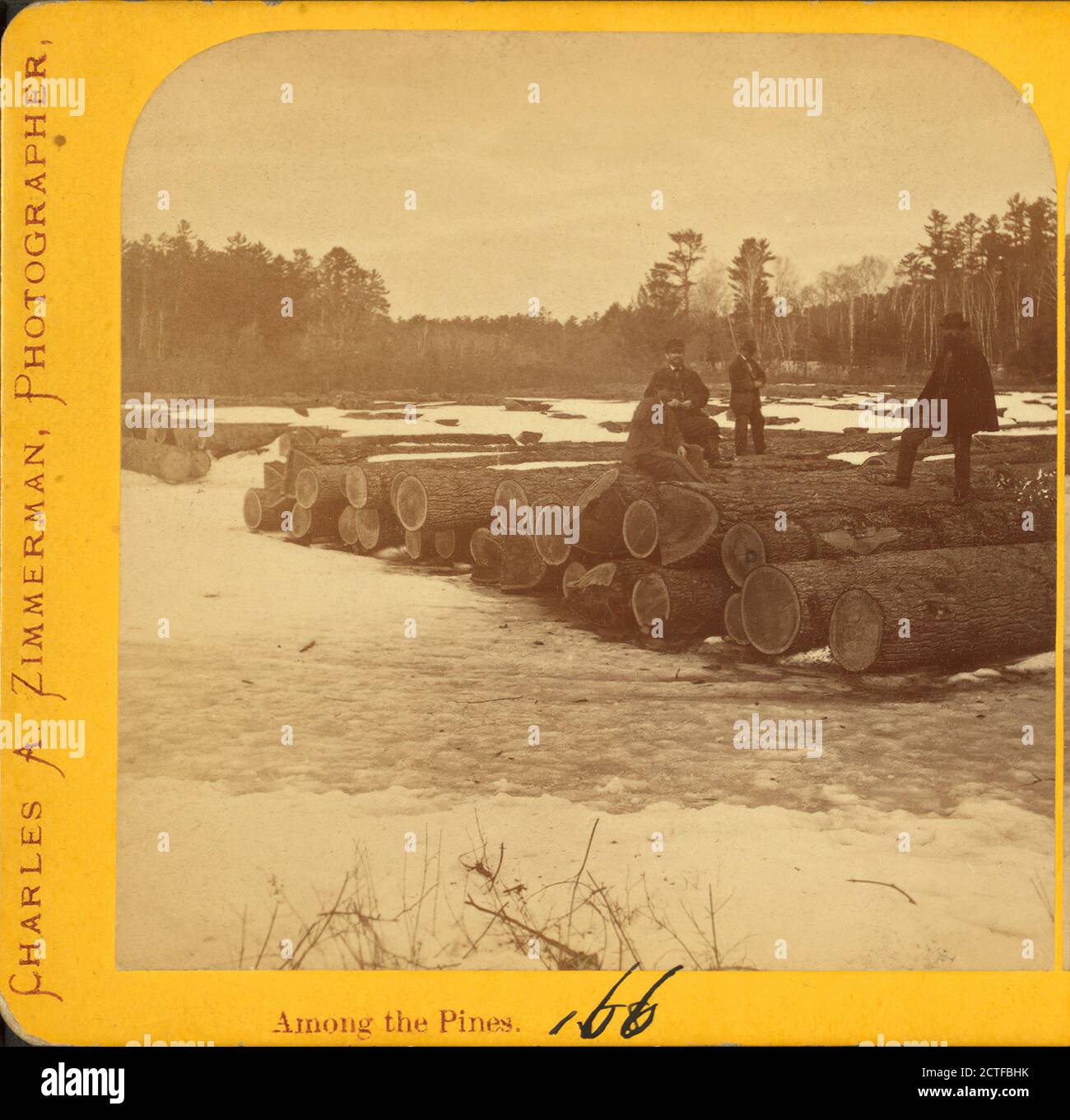 Among the pines., Lumber industry, Minnesota Stock Photo Alamy