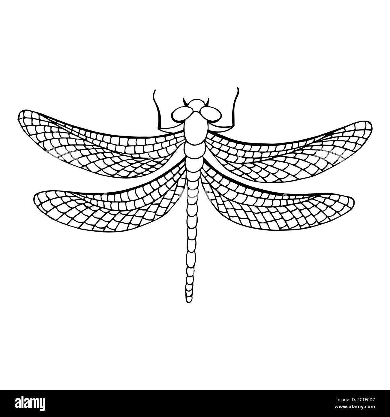 Dragonfly insect graphic art black white isolated illustration vector Stock Vector