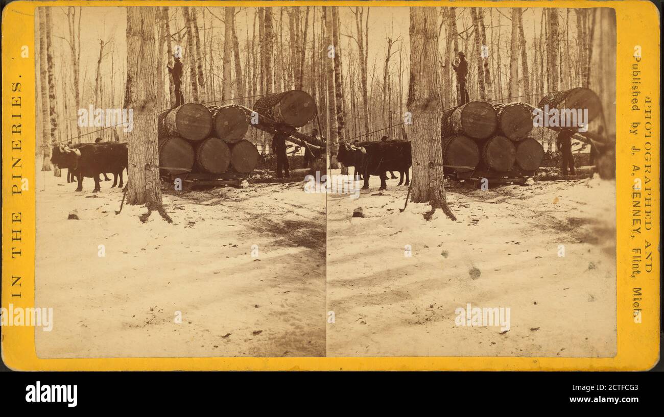 Loading at Thomas Poster's., Shipping, Lumber industry, Sleds & sleighs