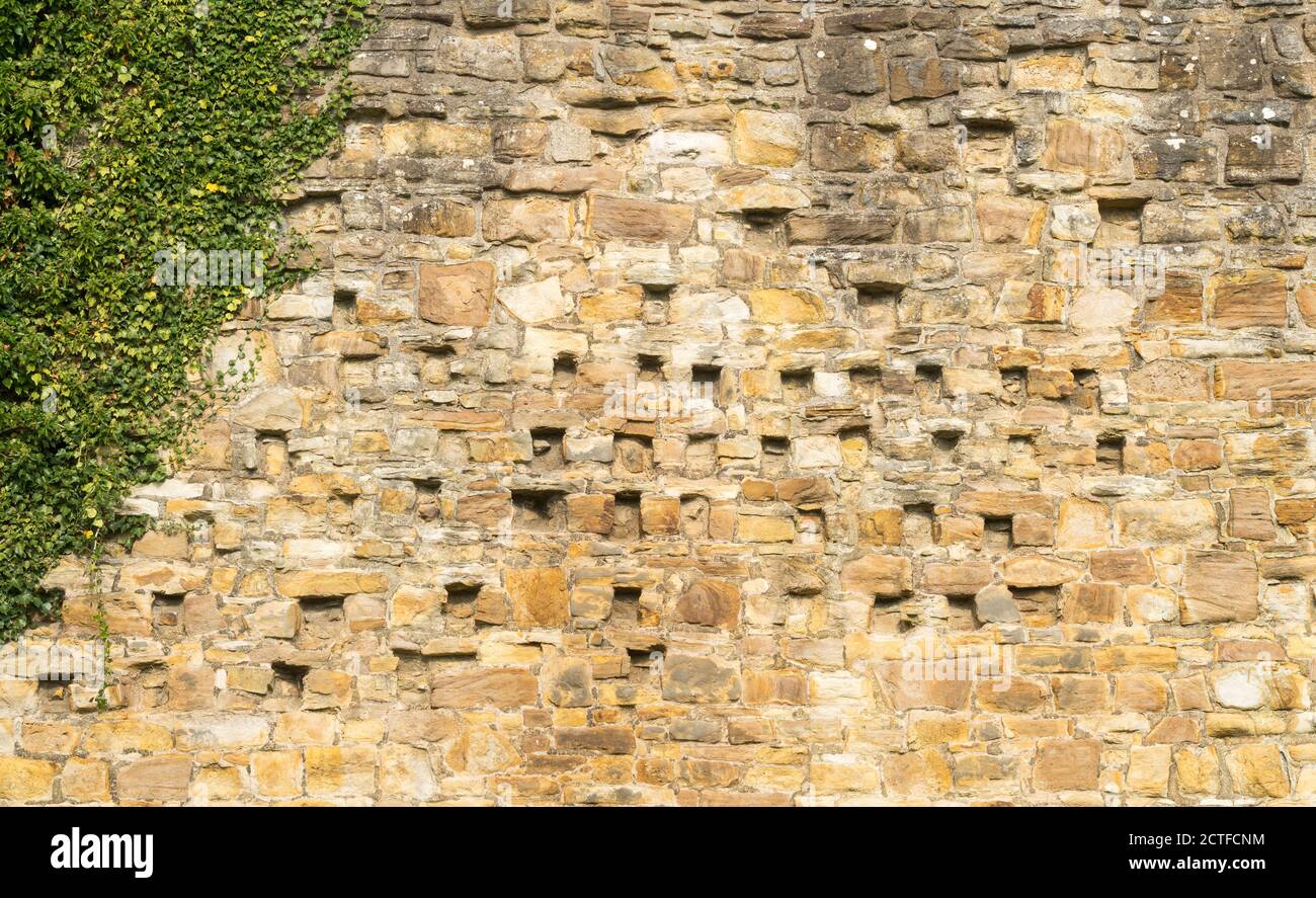 Nesting boxes for doves or pigeons within the walls of Barnard Castle, Co. Durham, England, UK Stock Photo