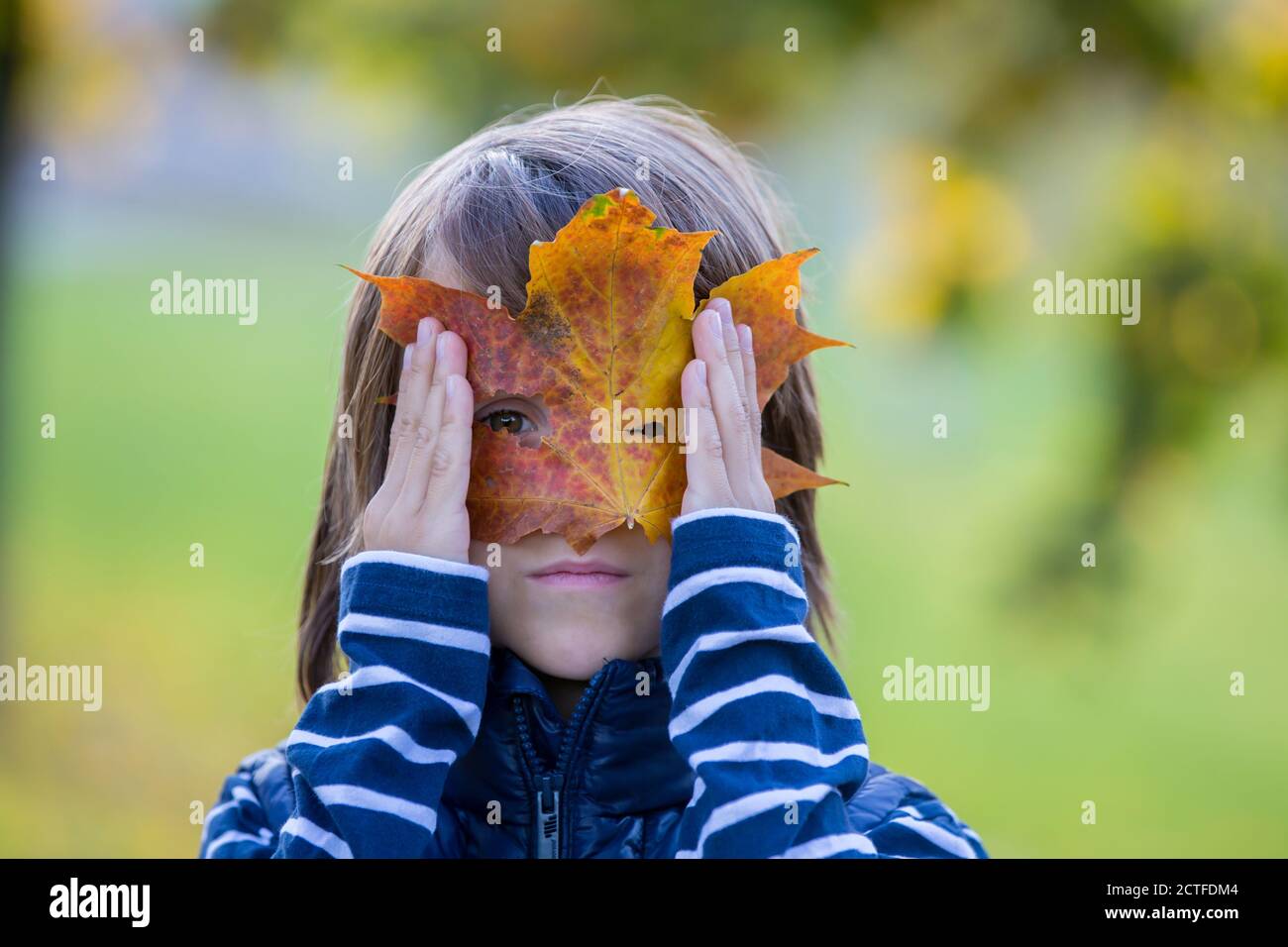 Beautiful preschool boy, holding big leaf in front of his face, looking ...