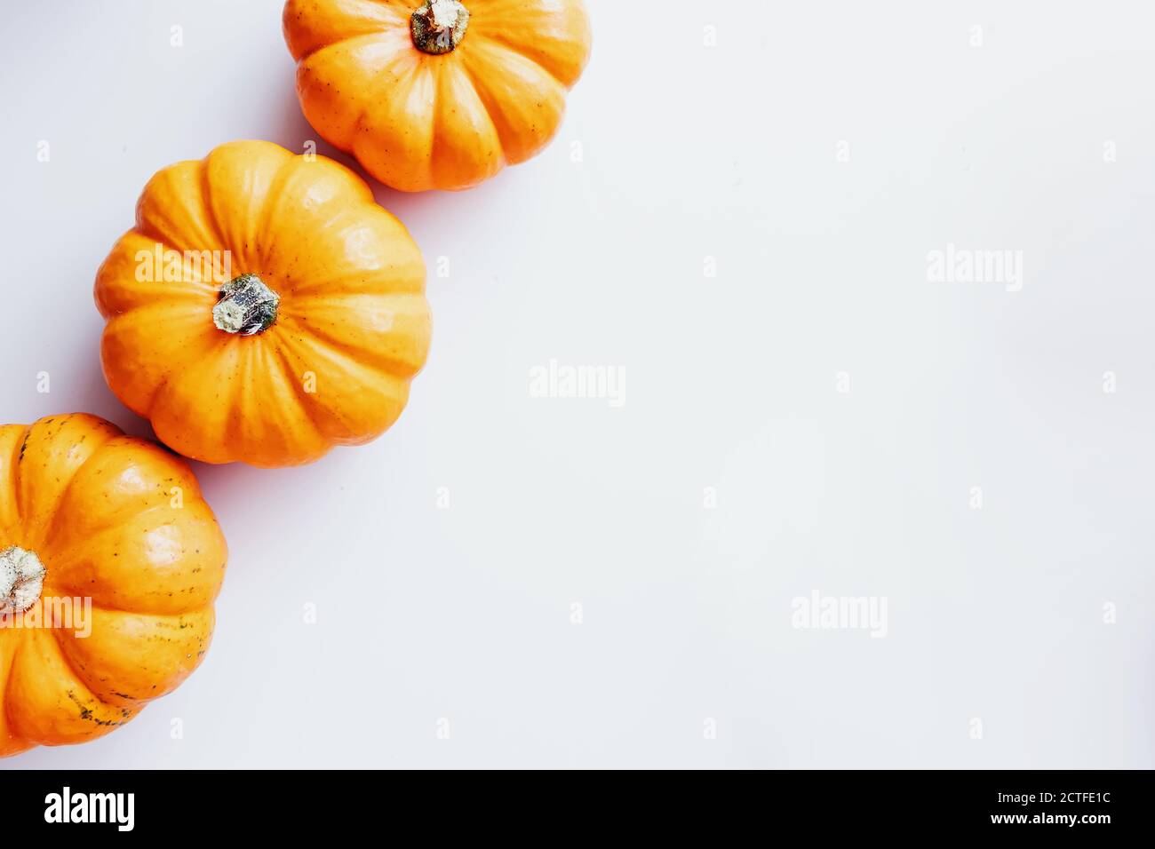 Small decorative pumpkins on white background Stock Photo Alamy
