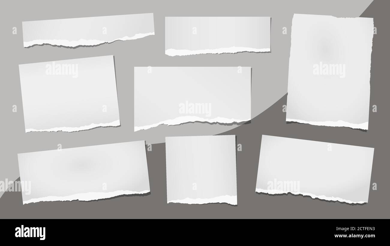 Torn of white note, notebook paper strips and pieces stuck on grey ...