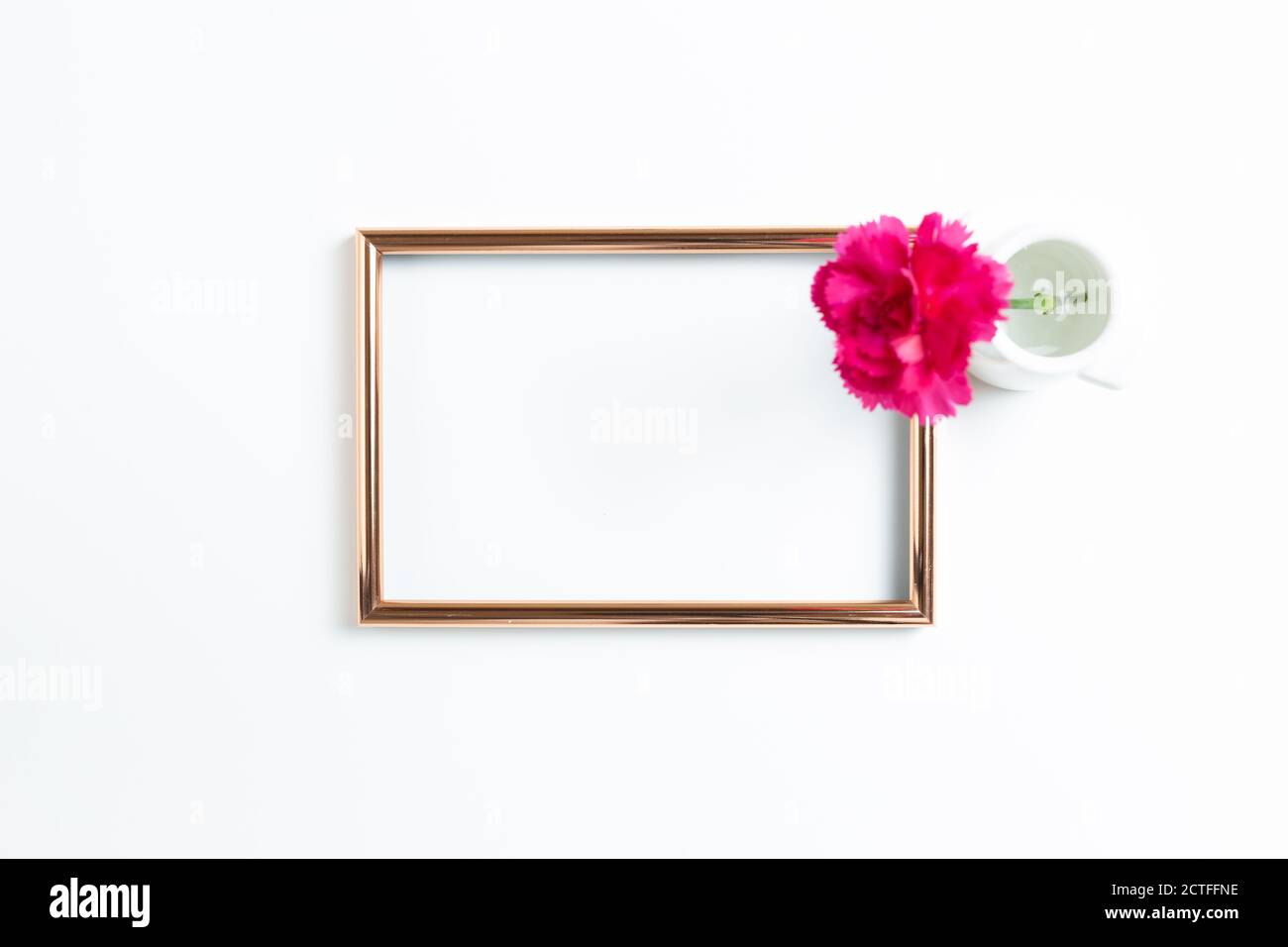 Photo frame with pink carnation flower on white background. flat lay ...