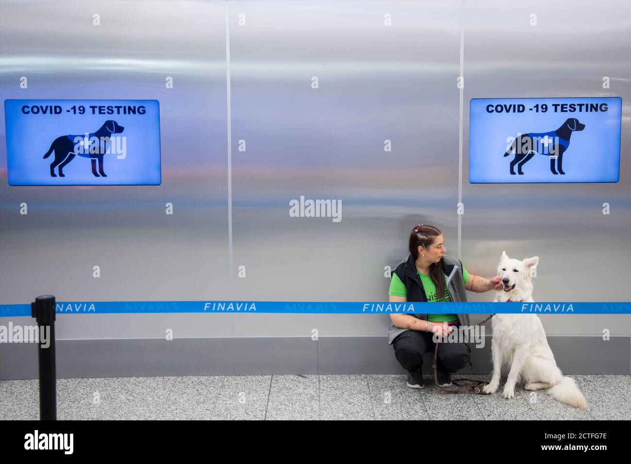 Helsinki. 22nd Sep, 2020. Photo taken on Sept. 22, 2020 shows a COVID-19 sniffer dog at a press conference held at Helsinki Vantaa International Airport in Finland. Four specially trained dogs demonstrated their ability to sniff COVID-19 in people even before showing symptoms during a press conference held at Helsinki Vantaa International Airport on Tuesday. The pilot project is scheduled to commence later this week. Credit: Matti Matikainen/Xinhua/Alamy Live News Stock Photo