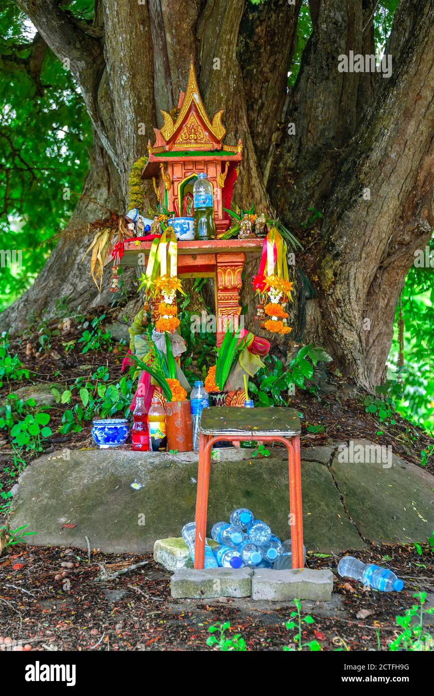 A spirit house on earth mound with a huge tree stands behind