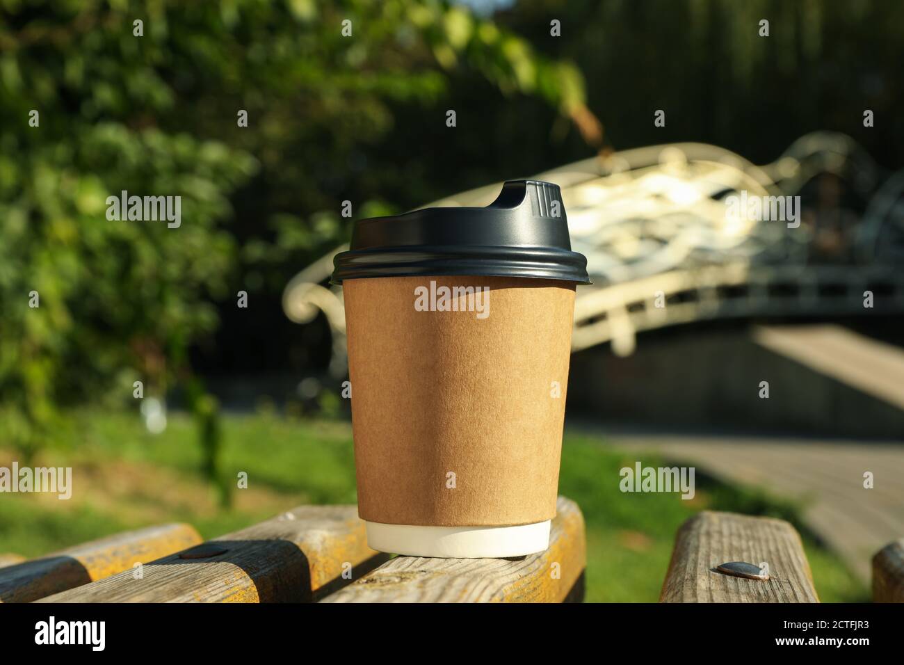 Paper cup on bench in beautiful city park Stock Photo - Alamy