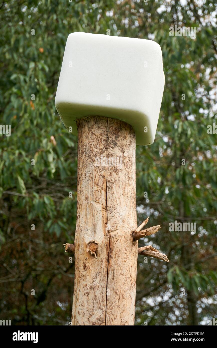 a mineral lick, deerlick salt for animal Stock Photo Alamy