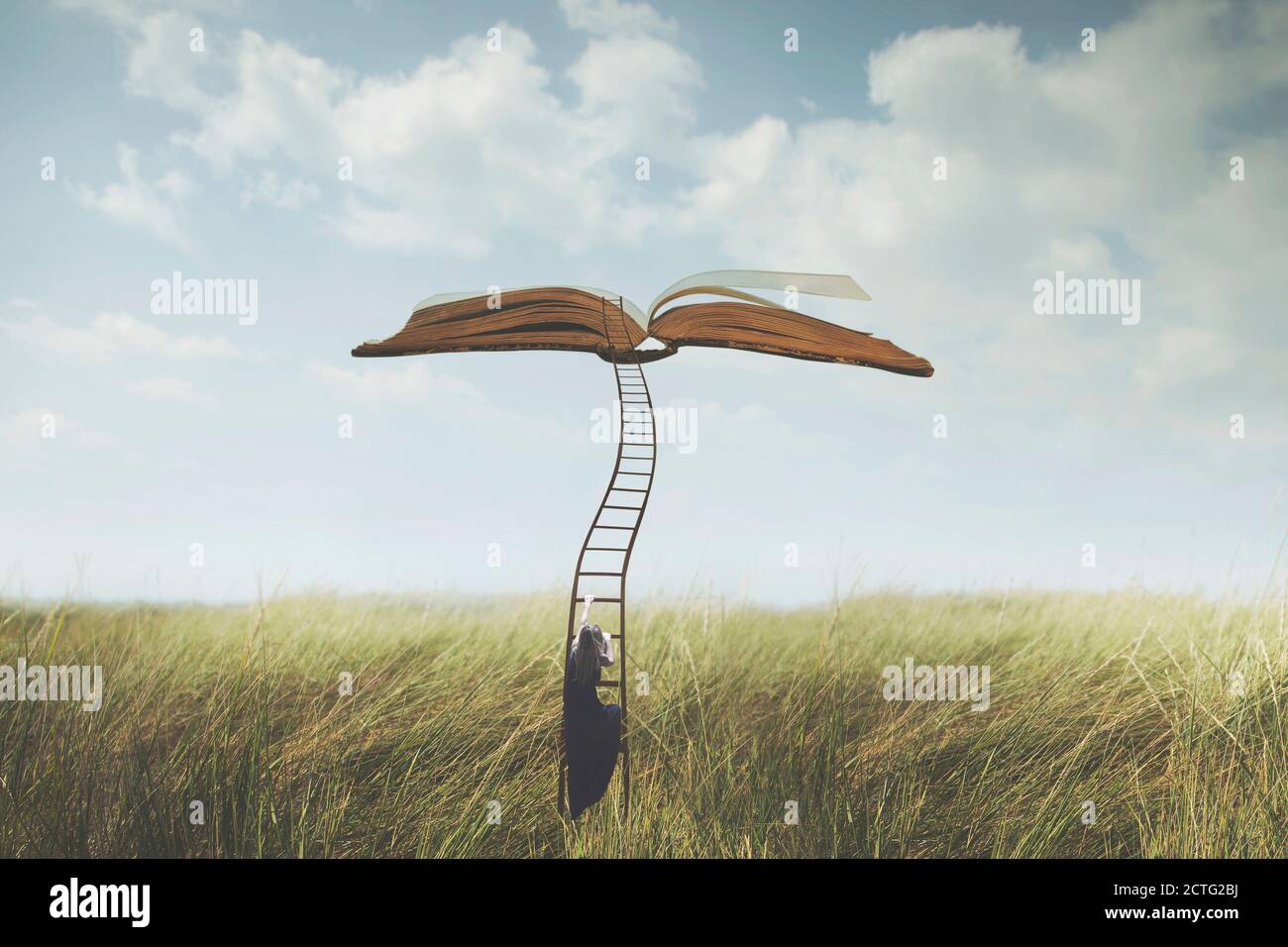 success concept, surreal woman climbs a strange ladder to reach an open book suspended in the sky Stock Photo