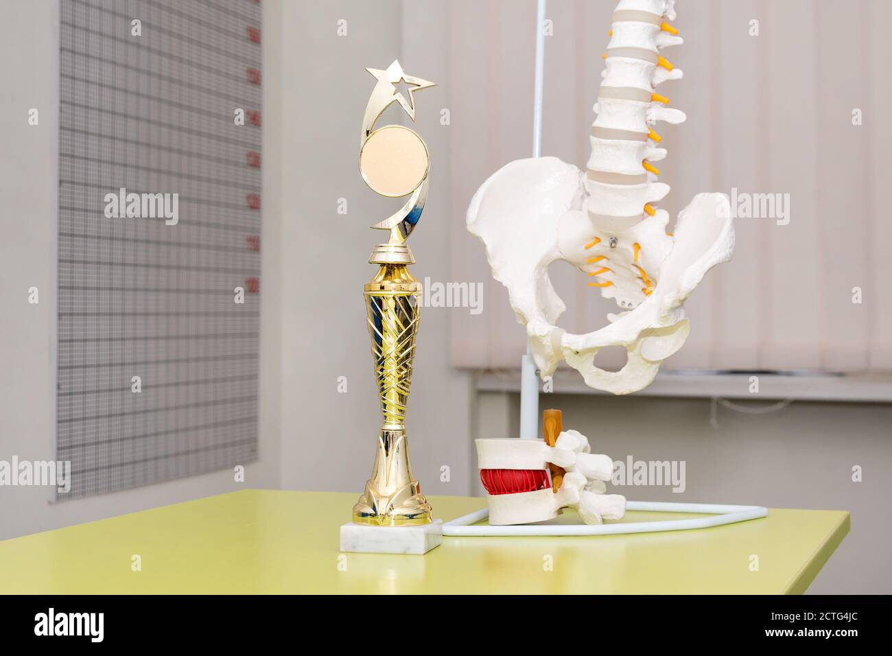 Awards in medical office. Best doctor or clinic. Selective focus, anatomical model of spinal