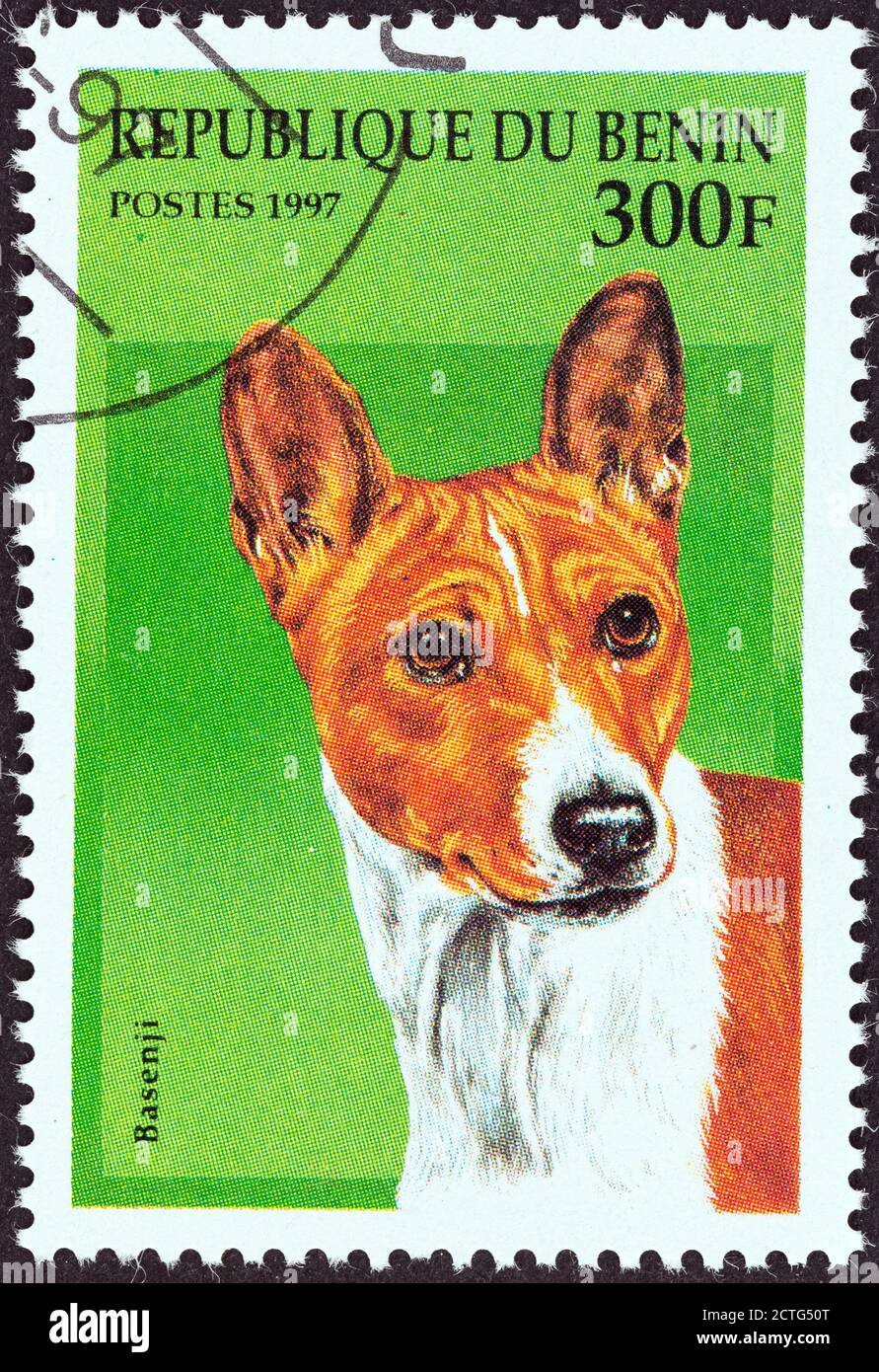 BENIN - CIRCA 1997: A stamp printed in Benin from the 'Dogs' issue shows a Basenji, circa 1997. Stock Photo