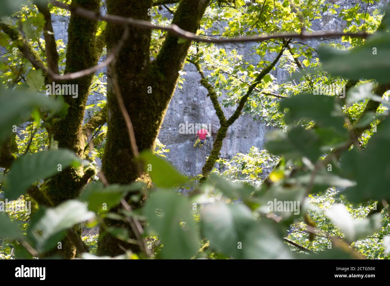 Rock climber in red jacket on sheer rock face in the peak district England Stock Photo