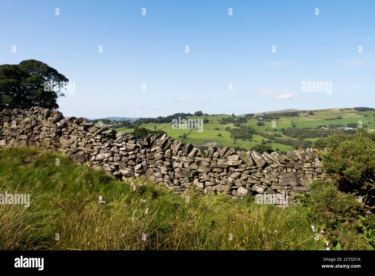 Drystone wall with rolling fields in the Peak District English countryside Stock Photo