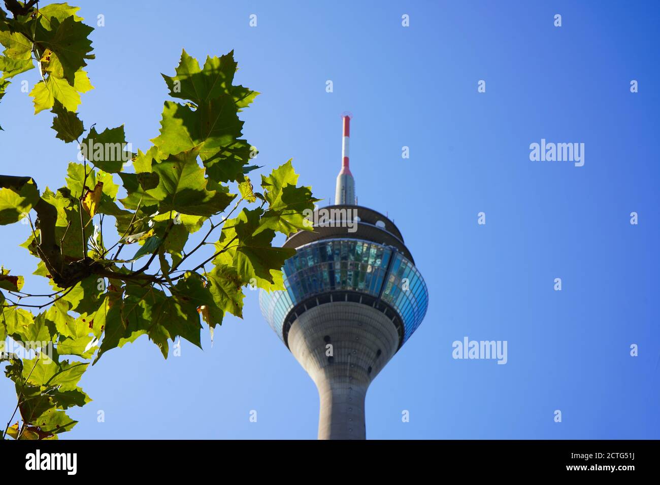 Rhine Tower, Düsseldorf's landmark, on a sunny day in late summer. Selective focus on the leaves of a tree, Rhine Tower in blurred background. Stock Photo