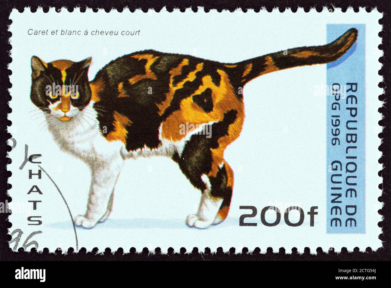 GUINEA - CIRCA 1996: A stamp printed in Guinea from the 'Cats' issue shows Tortoiseshell and White Shorthair cat, circa 1996. Stock Photo