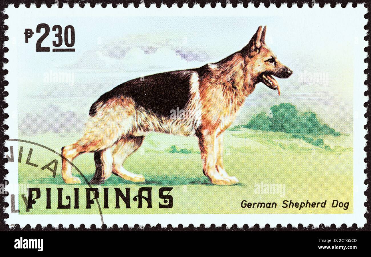 PHILIPPINES - CIRCA 1979: A stamp printed in Philippines from the 'Cats and Dogs' issue shows a German Shepherd, circa 1979. Stock Photo
