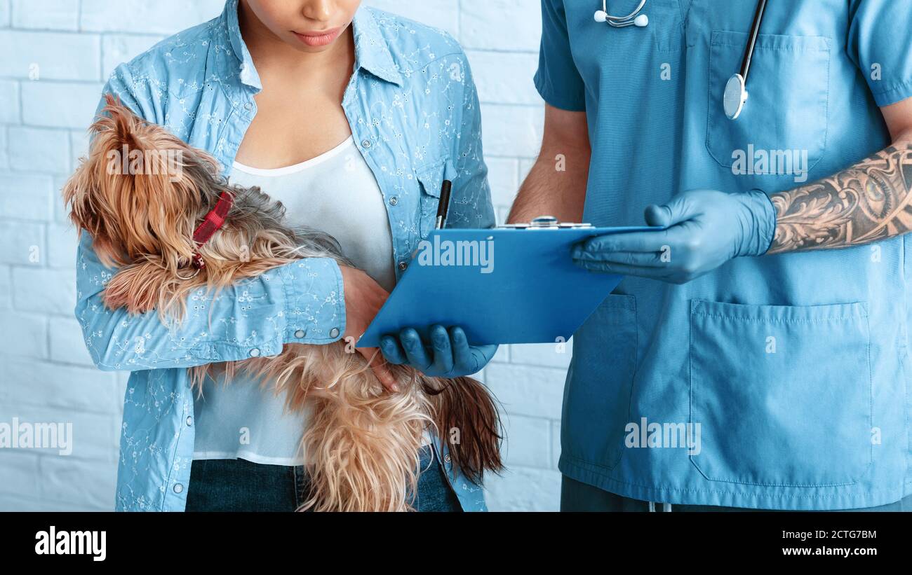 Female dog owner signing pet surgery consent form at vet clinic, closeup Stock Photo