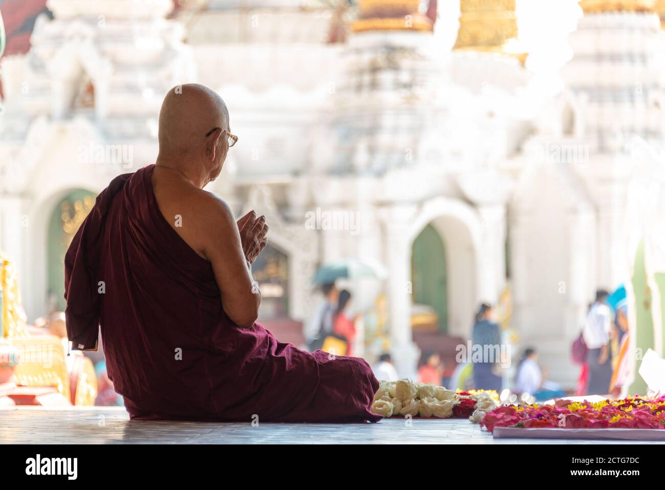 Monk praying at Shwedagon pagoda in Yangon, Burma, Myanmar Stock Photo