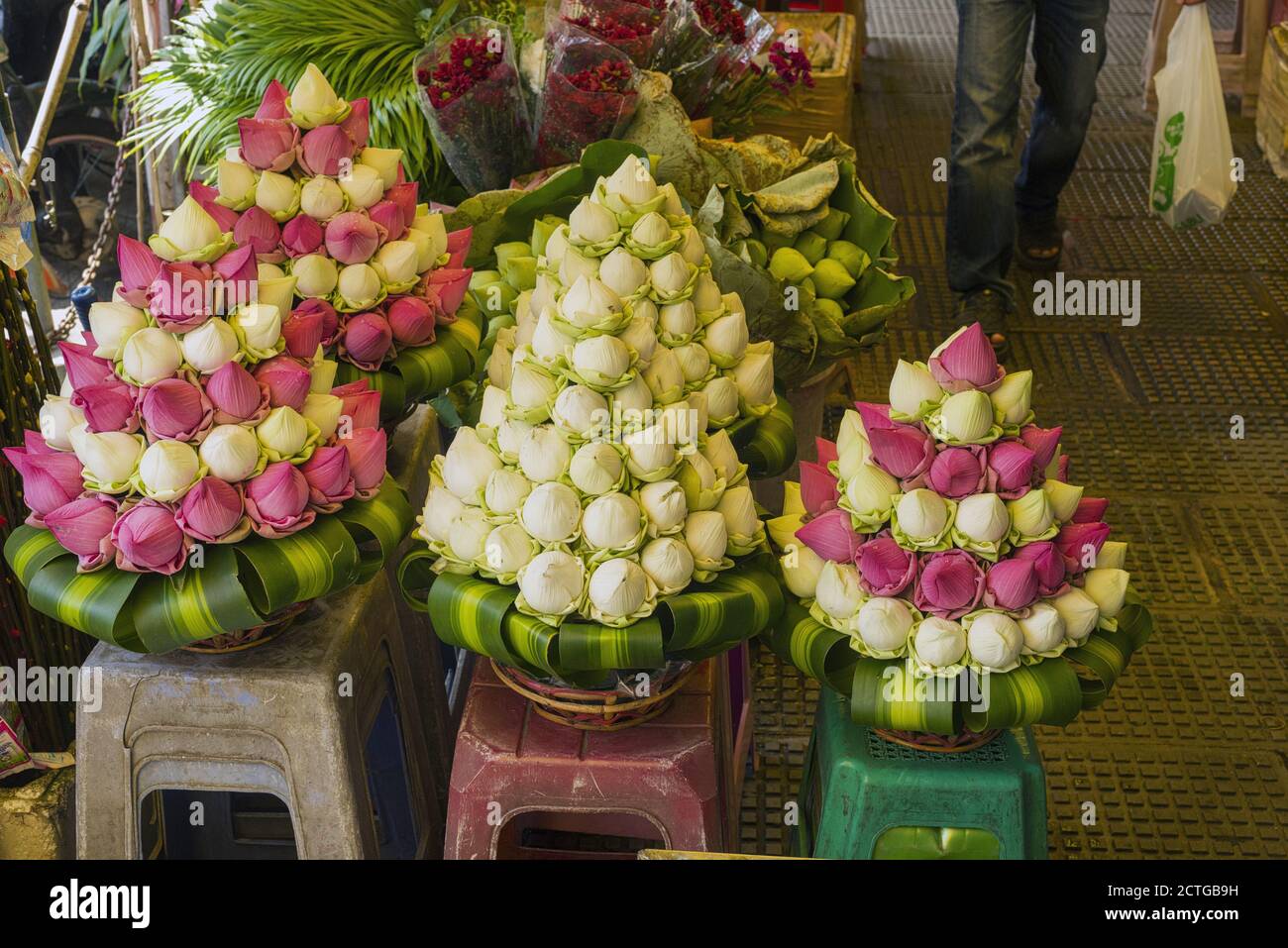 lotus flowers in central market in Phnom Penh, Cambodia Stock Photo Alamy