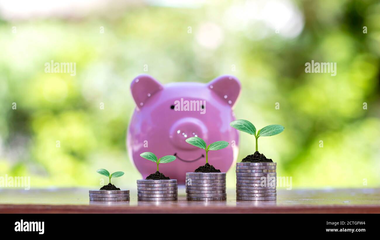 Planting seedlings on a pile of coins and a graph showing financial growth, investment concepts and business growth. Stock Photo