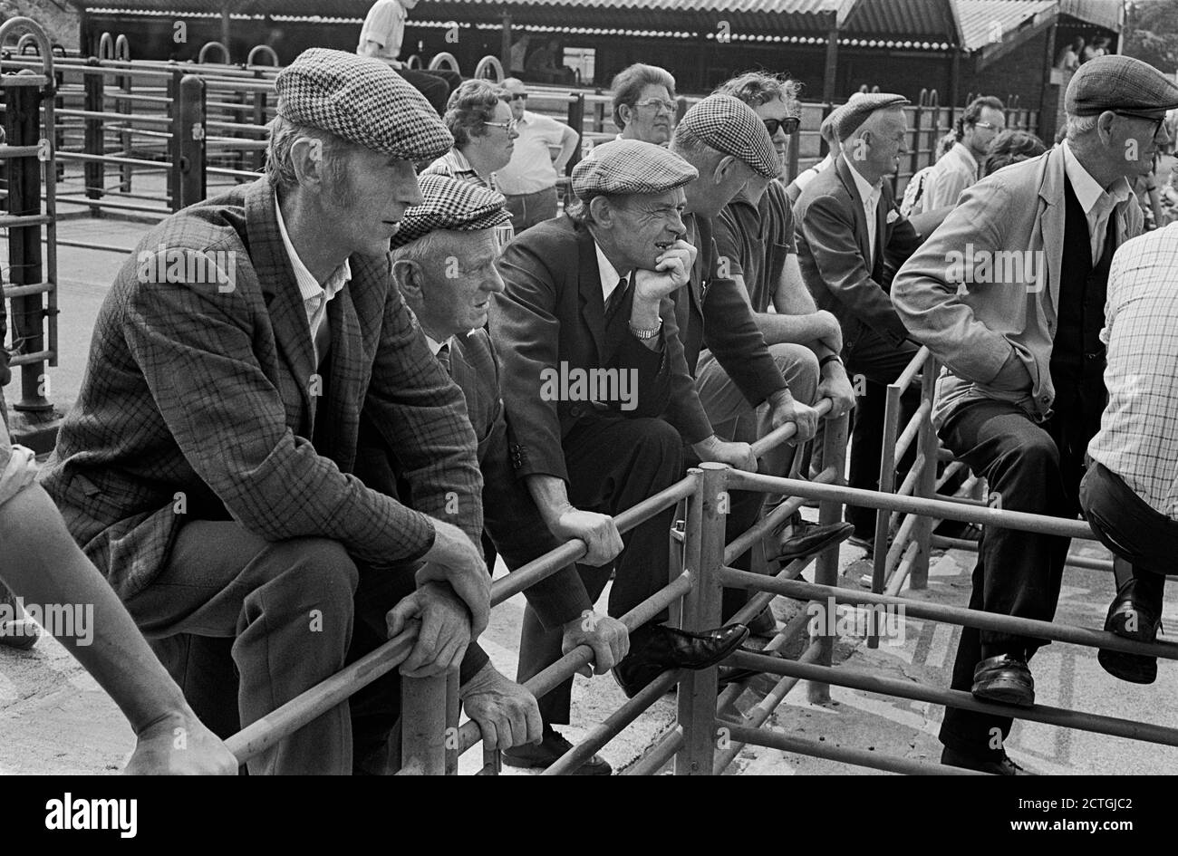 Farmers at Llandovery sheep sales, Carmarthenshire, Wales, 1977 Stock