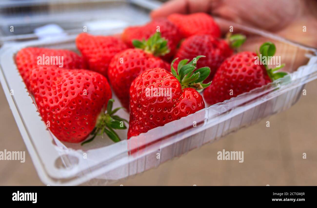 Tray fresh strawberries hi-res stock photography and images - Alamy